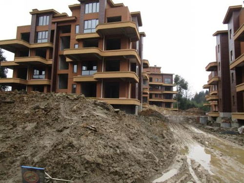 頭條丨 削山 一萬八千畝 峨眉半山 康養 開發亂象