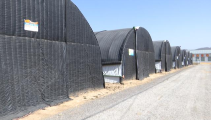 甘肅合水:菌光互補(bǔ)項目預(yù)計5月完成并網(wǎng)