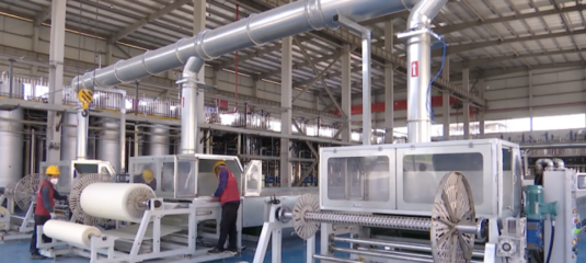 奮進(jìn)|泰興:驅(qū)動經(jīng)濟(jì)向&ldquo;綠&rdquo;而行 打造綠色環(huán)保產(chǎn)業(yè)集群