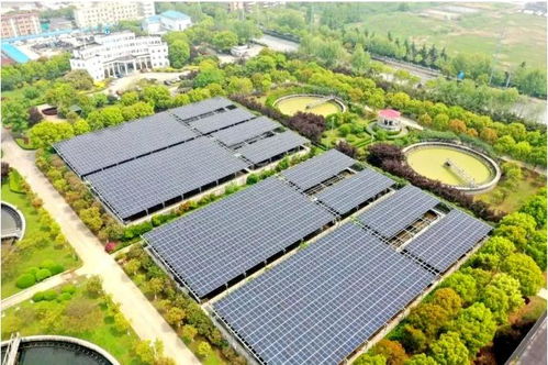 三峽集團(tuán)2022年首個長江大保護(hù)項目正式開工